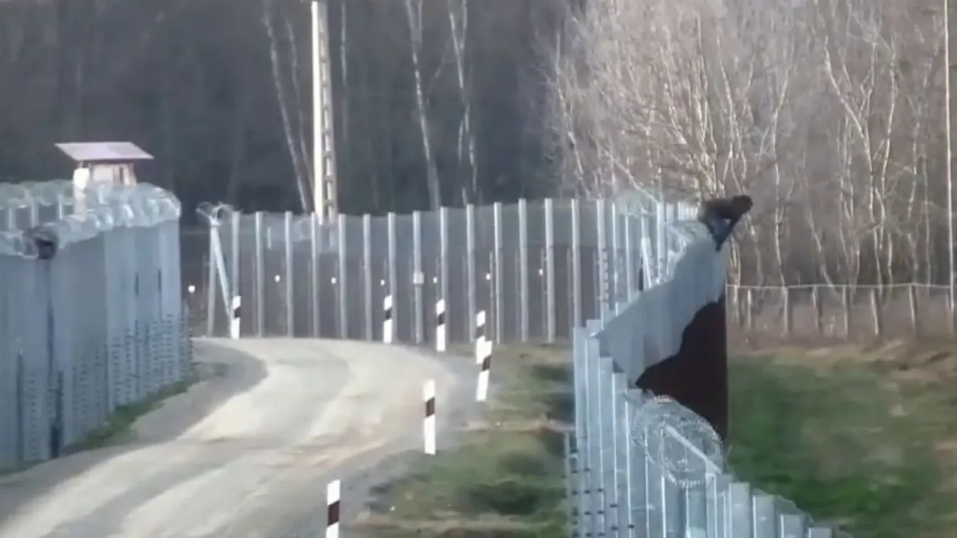 Németh Szilárd: A 2015-öshöz hasonló a helyzet a magyar határon