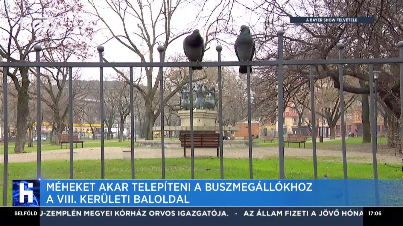 Méheket akar telepíteni a buszmegállókhoz a VIII. kerületi baloldal