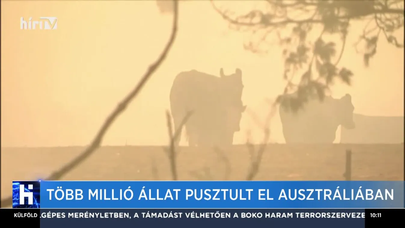 Dollármilliókat különítenek el a károsultaknak Ausztráliában