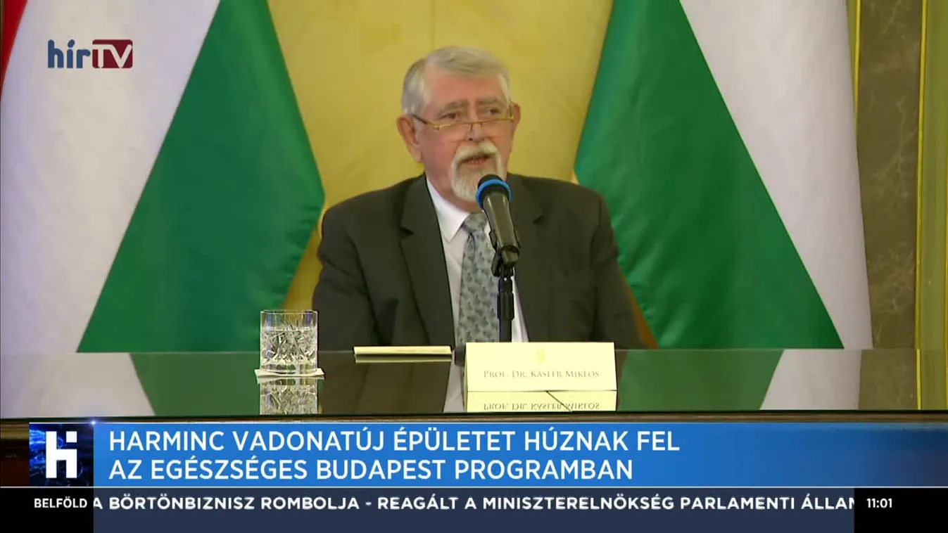 Harminc vadonatúj épületet húznak fel az Egészséges Budapest Programban