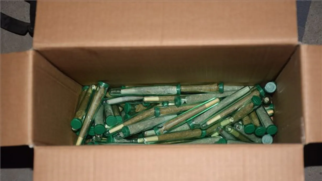 Lezárták a nyomozást a Sziget fesztiválon drogot áruló hollandok ügyében