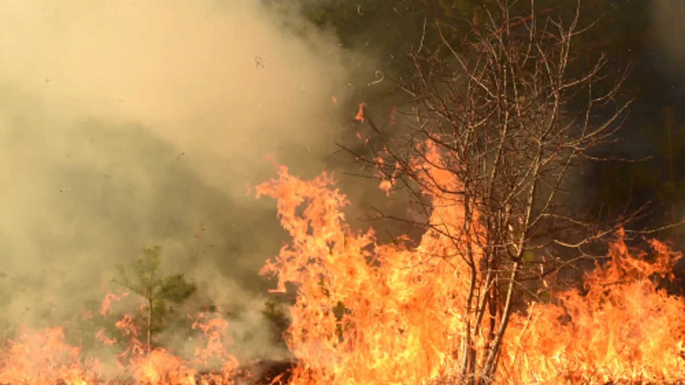 Oltásban segítő helikopter okozott újabb tüzet Ausztráliában