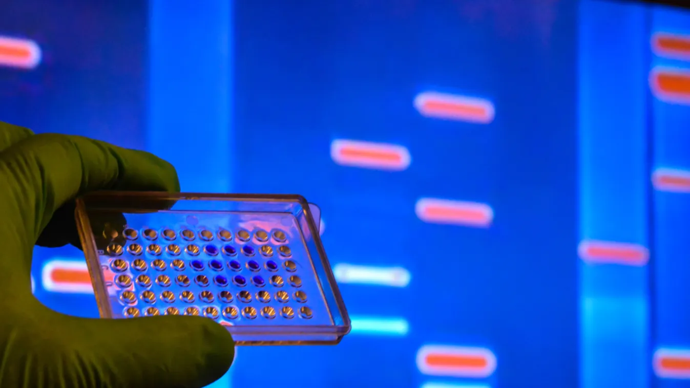 Odaítélték az orvostudományi Wolf-díjat