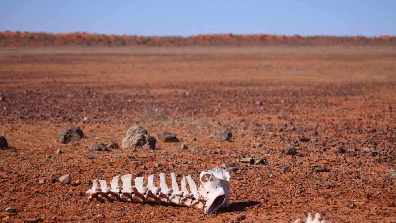 A tavalyi volt Ausztrália legmelegebb és legszárazabb éve