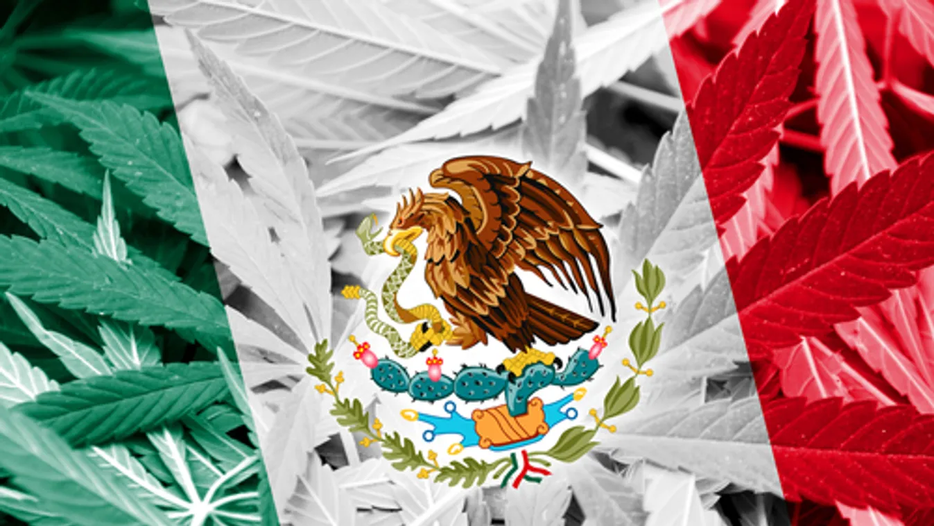 Immár 61 ezerre becsülik a mexikói drogháborúban eltűntek számát