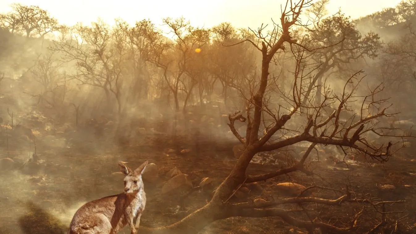Az ausztrál kormány az idegenforgalmat újraélesztő csomagot állított össze