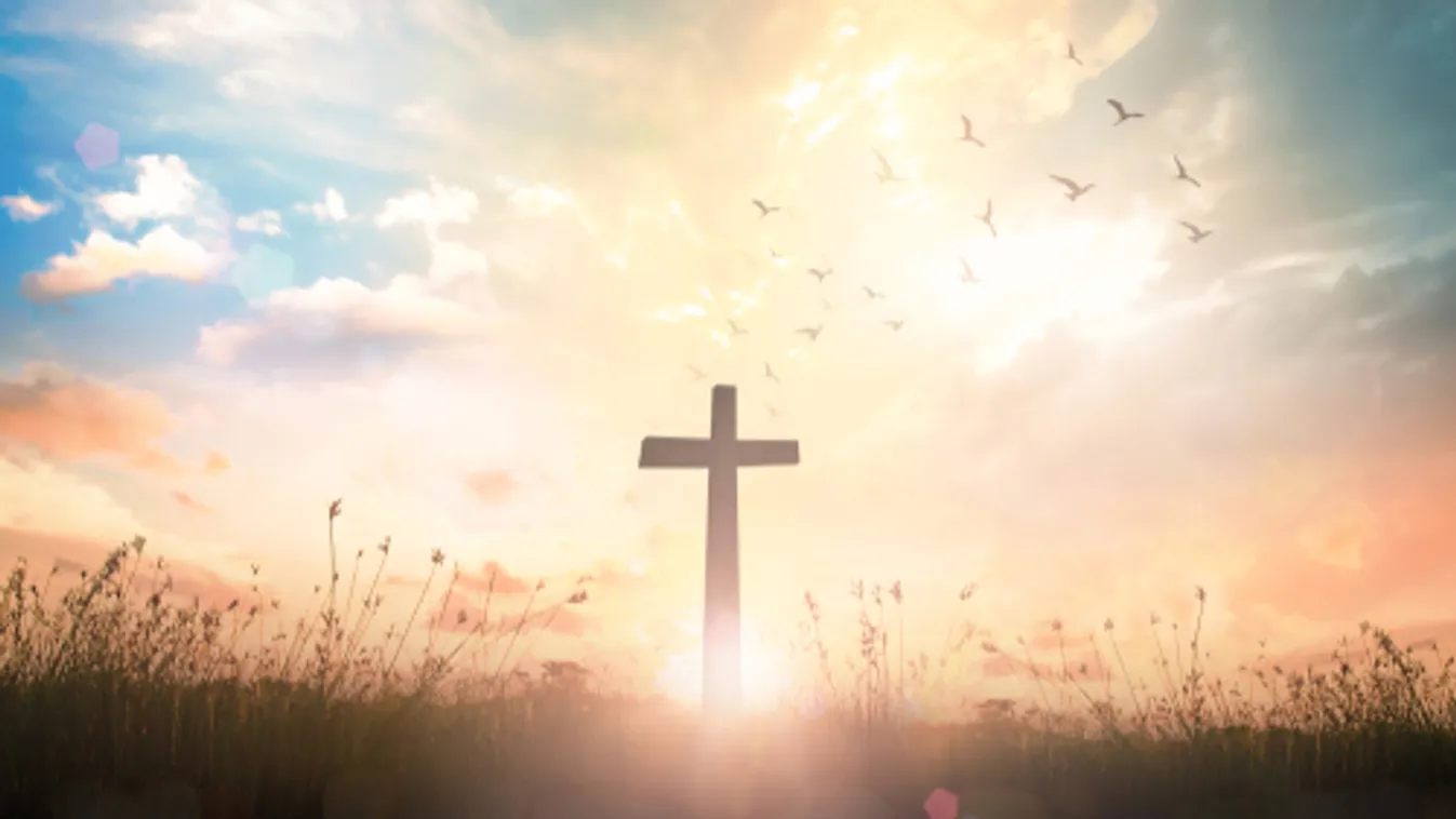 Hölvényi György: Magasabb európai szintre kell helyezni az üldözött keresztények diplomáciai képviseletét