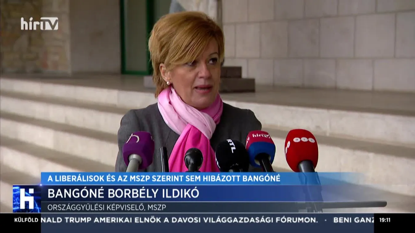 A liberálisok és az MSZP szerint sem hibázott Bangóné