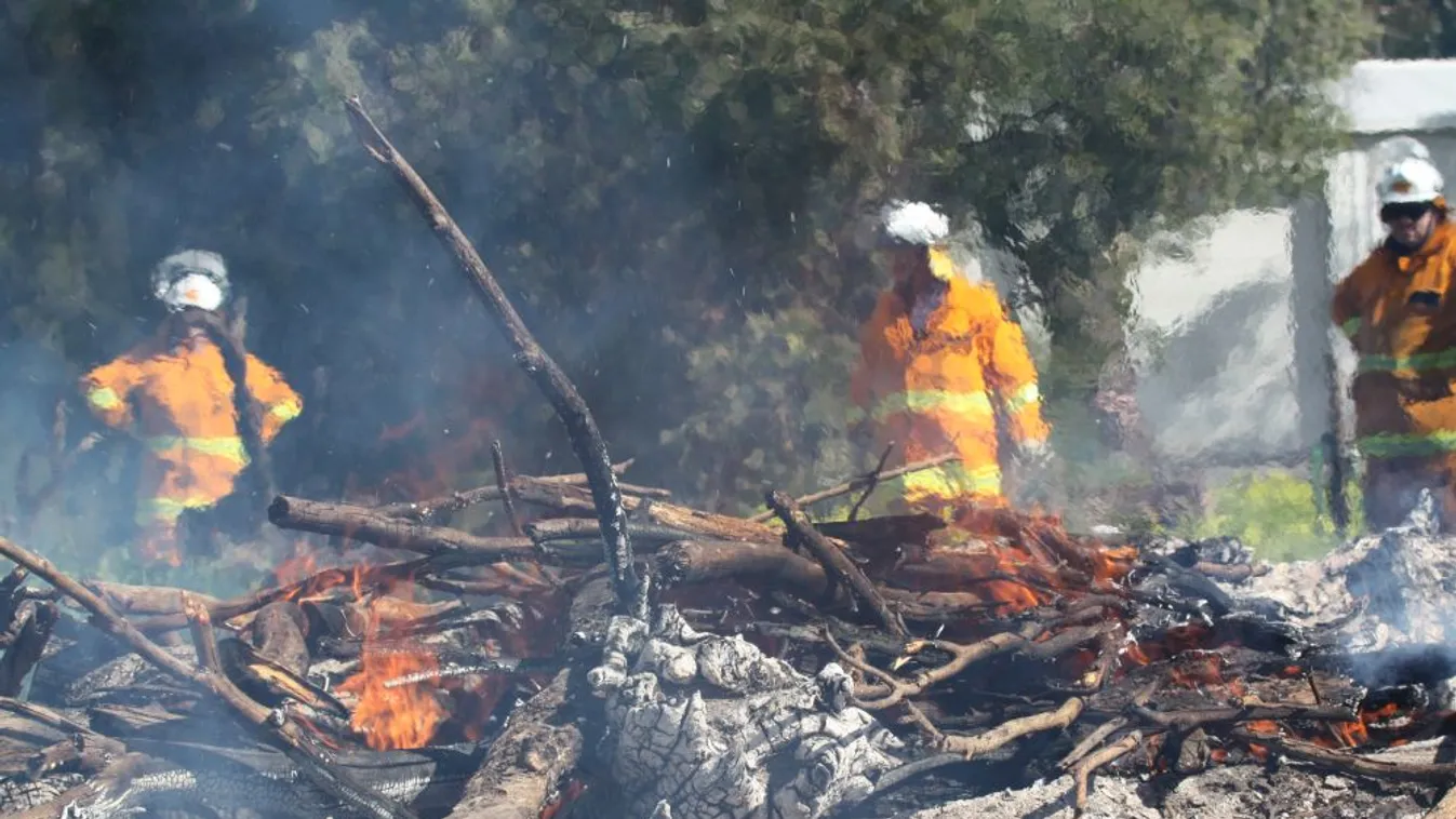 Magyarországnál is nagyobb területen pusztított a bozóttűz Ausztráliában