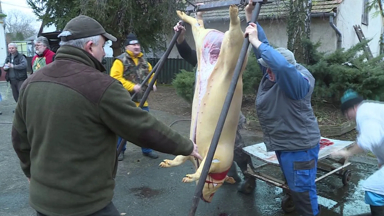 Civil közösségi disznóvágás Zalaegerszegen