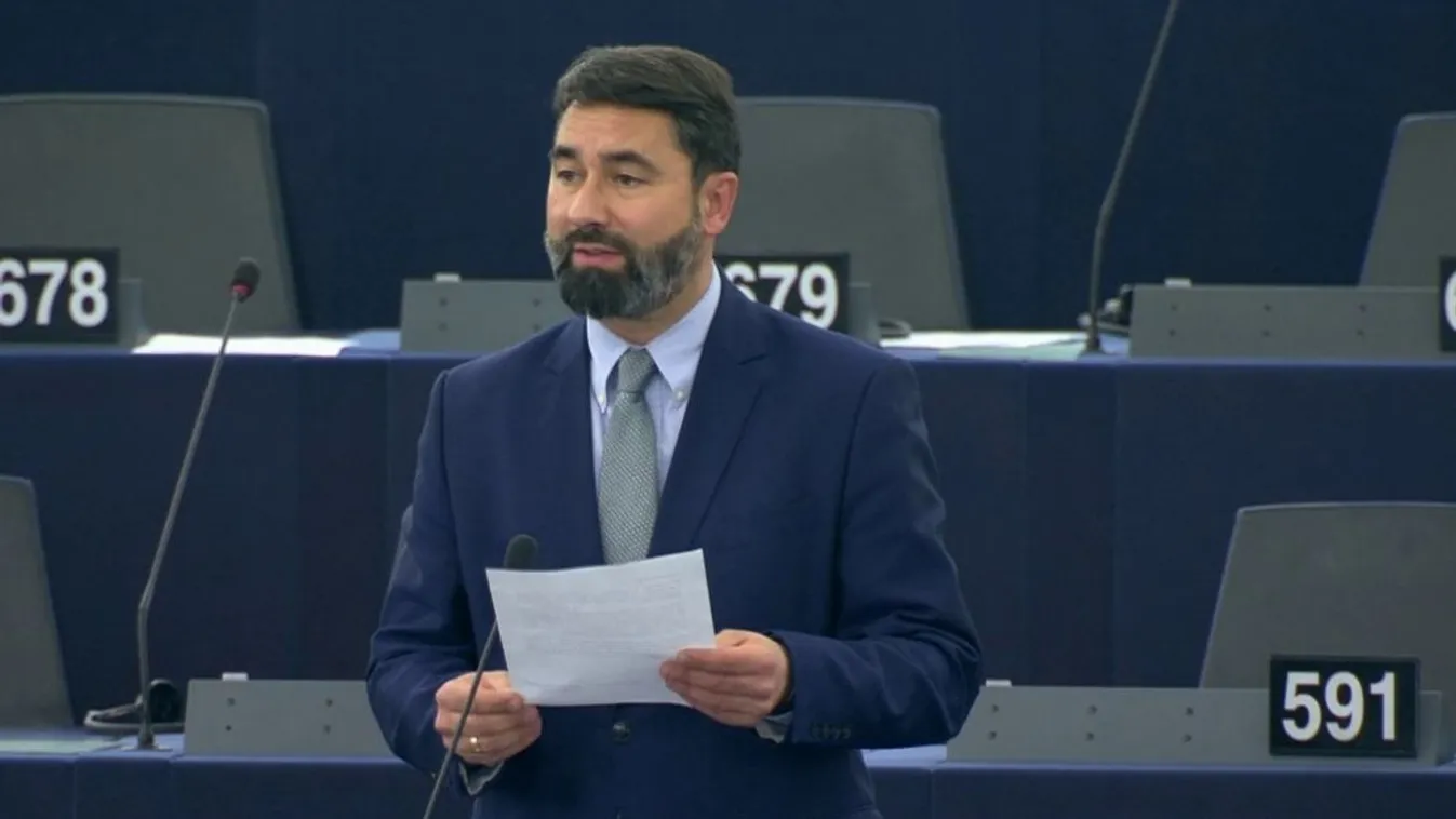 Hidvéghi: Svédországban a bevándorlók beengedése katasztrófához vezetett