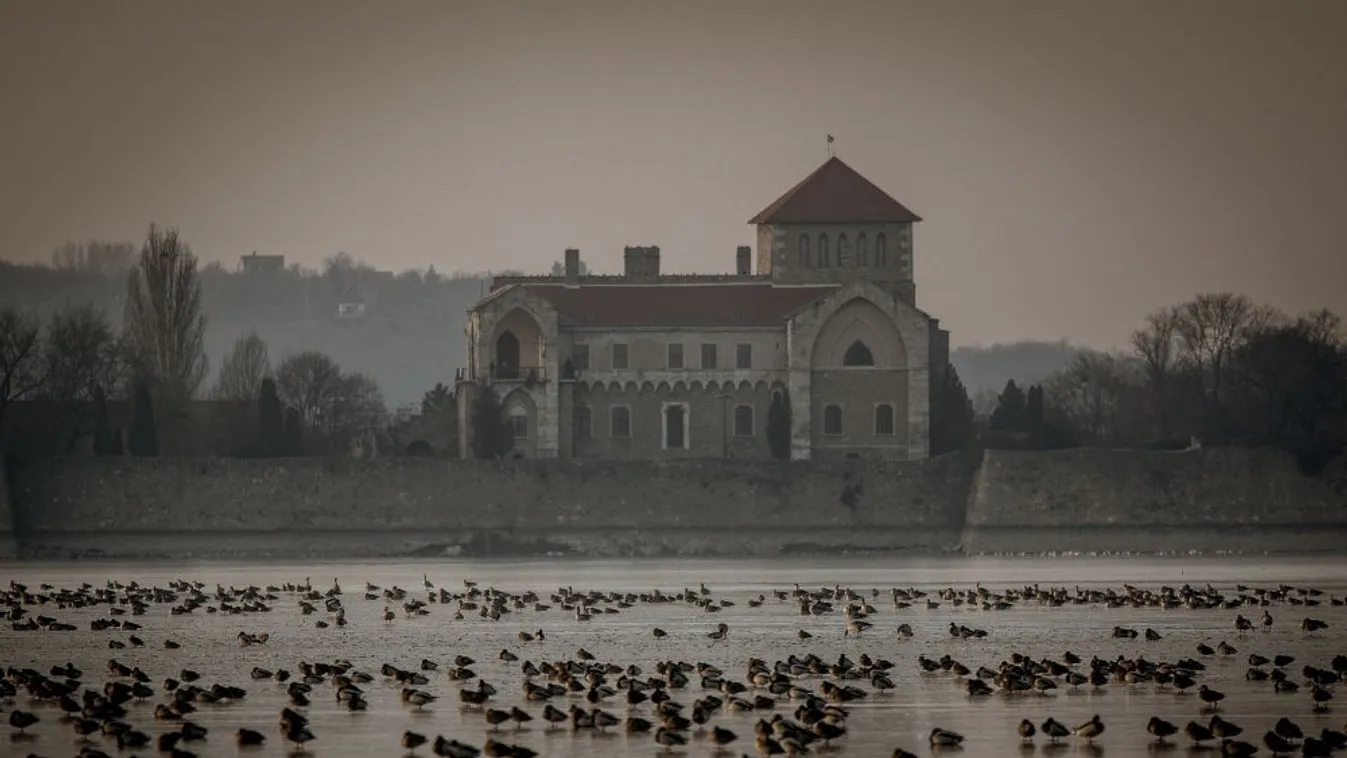 A tűzijáték-tilalom óta több vízimadár maradt a tatai Öreg-tavon található élőhelyén