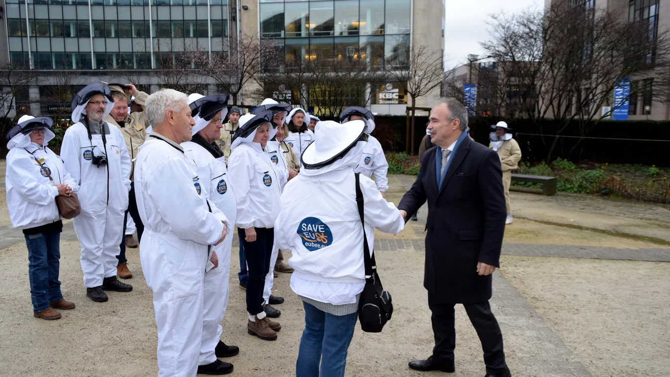 A jelenlegi európai mézpolitika nem nyújt elegendő védelmet a méztermelők számára