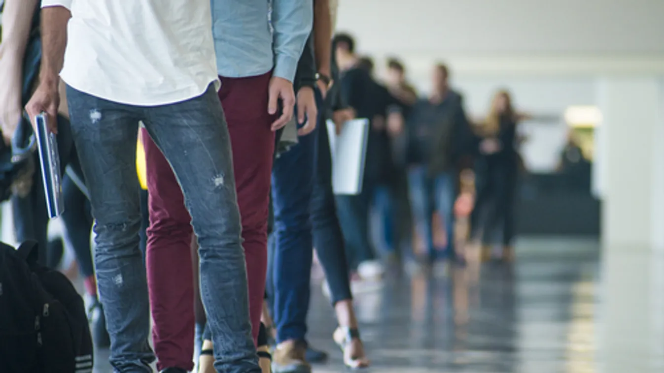 ITM: továbbra is növekvő pályán a foglalkoztatottság