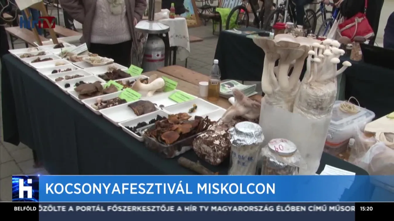 Kocsonyafesztivál Miskolcon