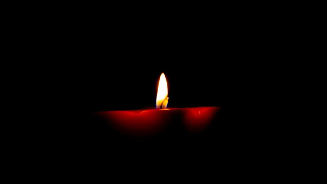 Elhunyt John Ridland, a Balassi Bálint-emlékkarddal kitüntetett amerikai műfordító