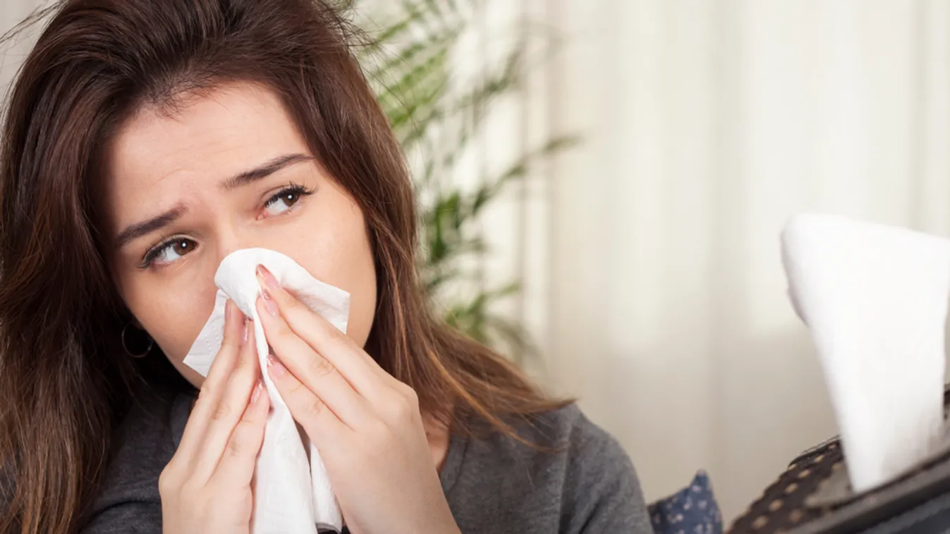 Megkezdődött az idei pollenszezon