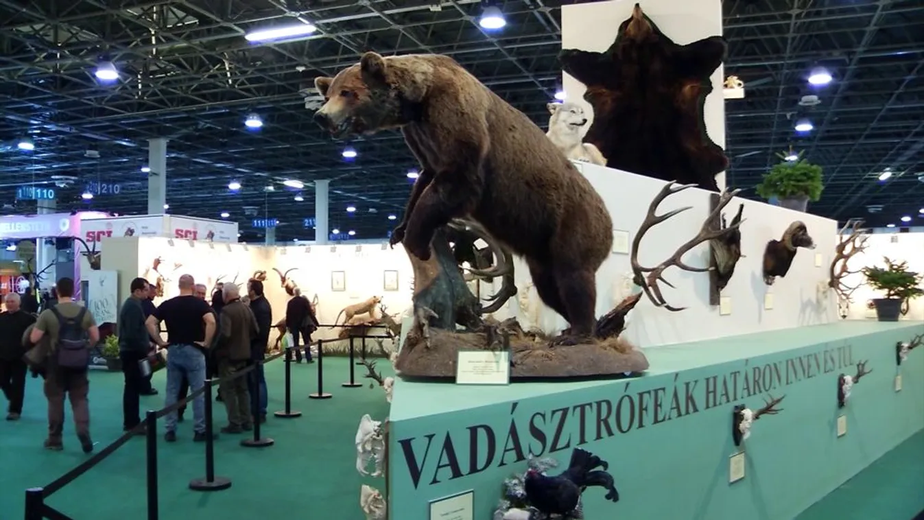 Soroló: Sikeres volt a FeHoVa