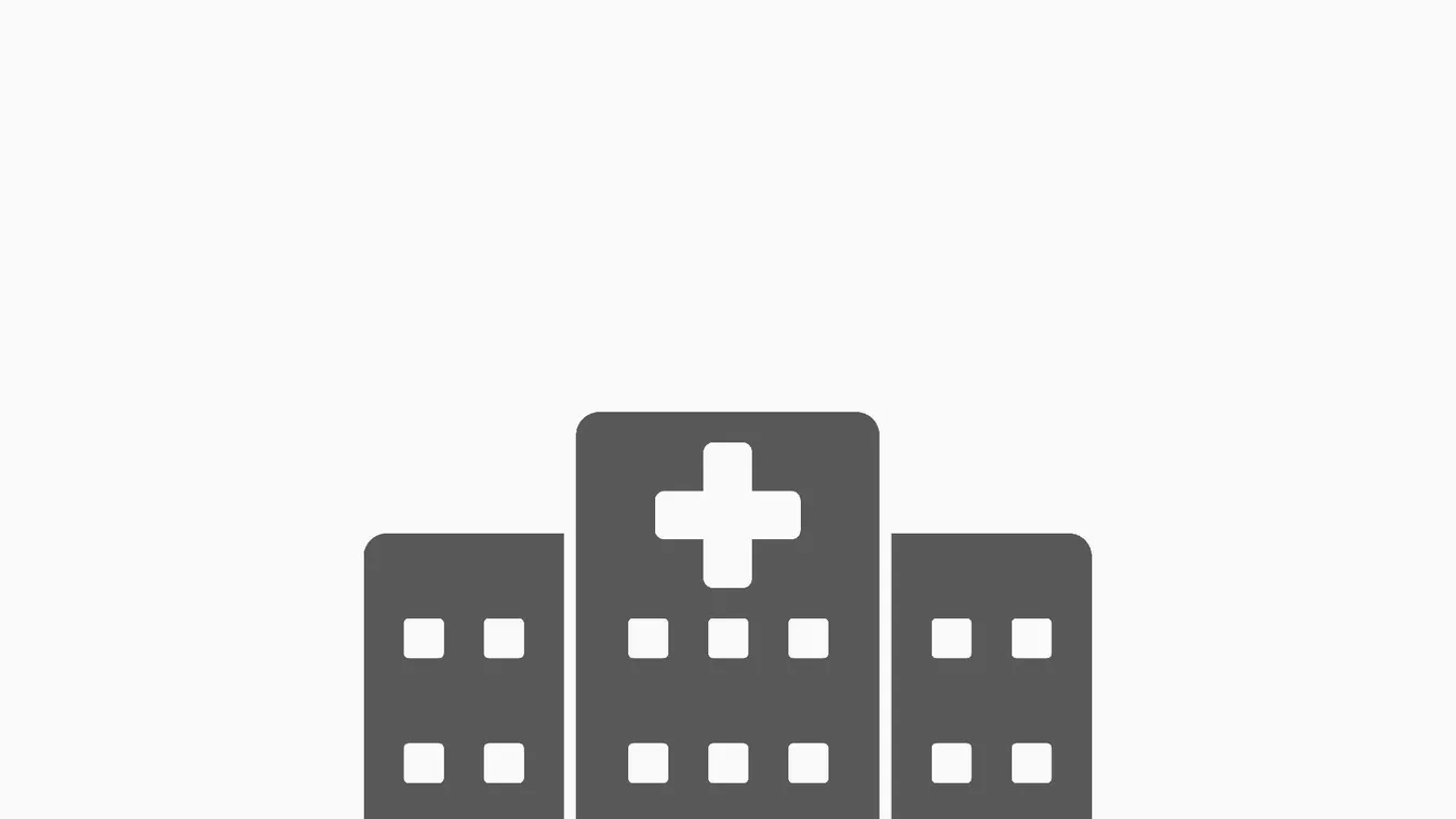 Az új fővárosi kórházakról is tárgyalnak