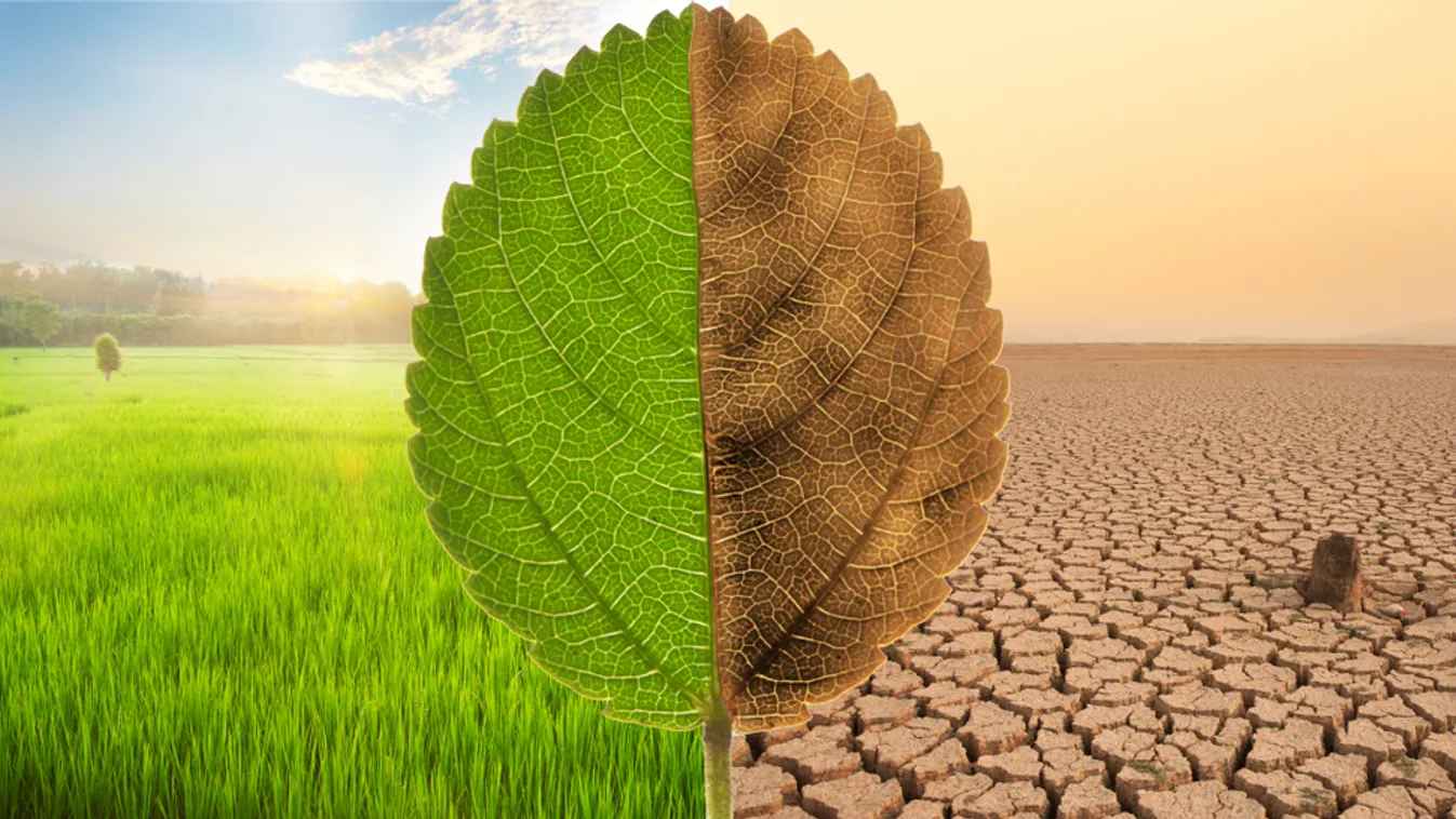 A Fidesz minden támogatást megad a klímavédelmi akcióterv megvalósításához