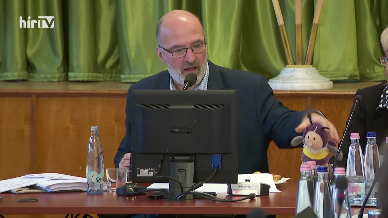 Budapesti srácok: Kaptárba nyúlt a józsefvárosi polgármester