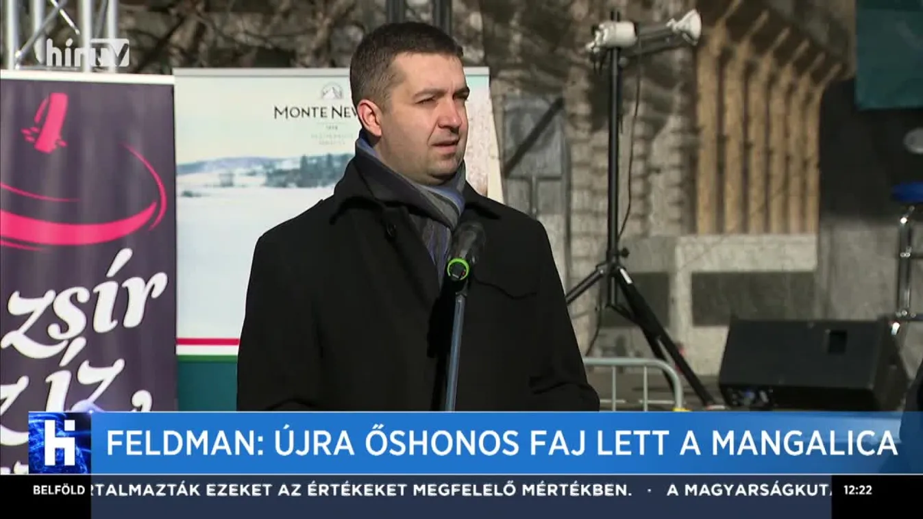 Feldman: Újra őshonos faj lett a mangalica