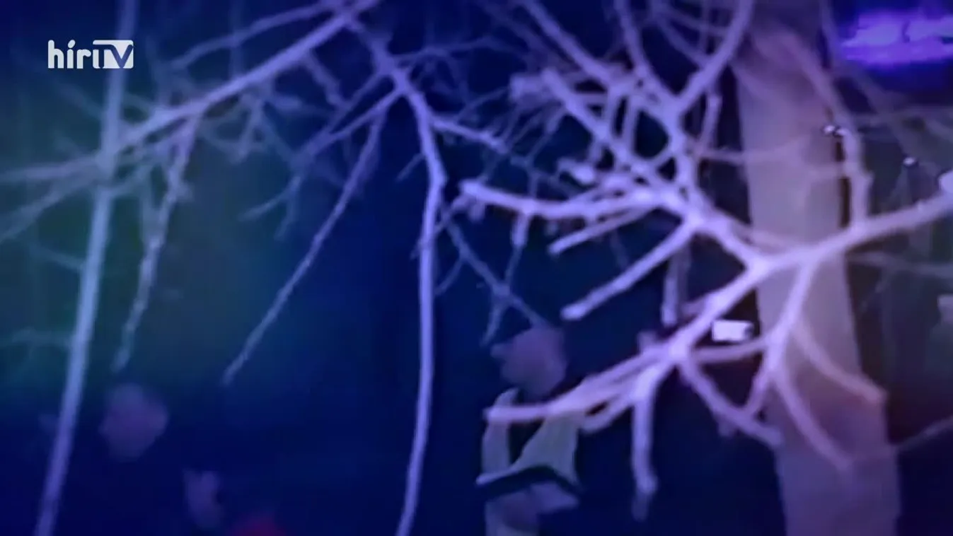 Riasztás (2020-02-18)