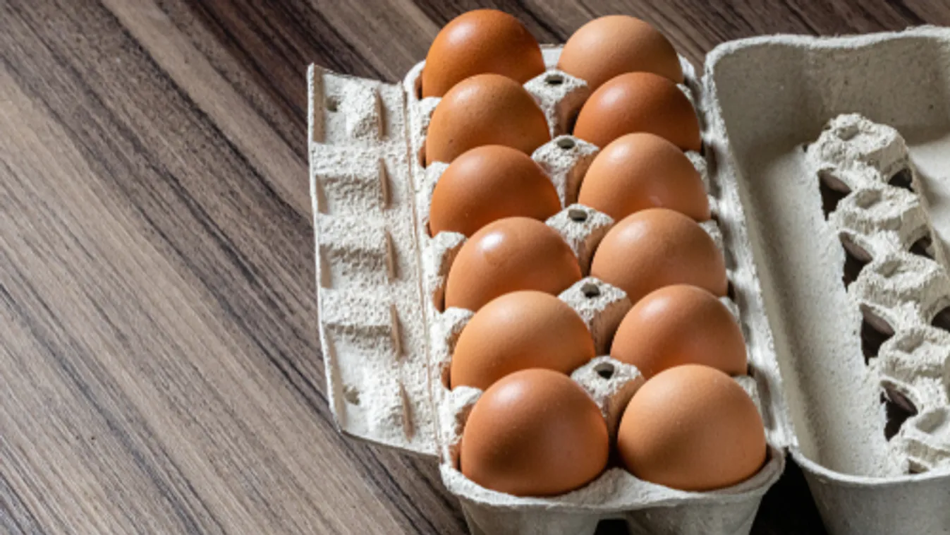 A koronavírus nem veszélyezteti a tojásellátási-láncot