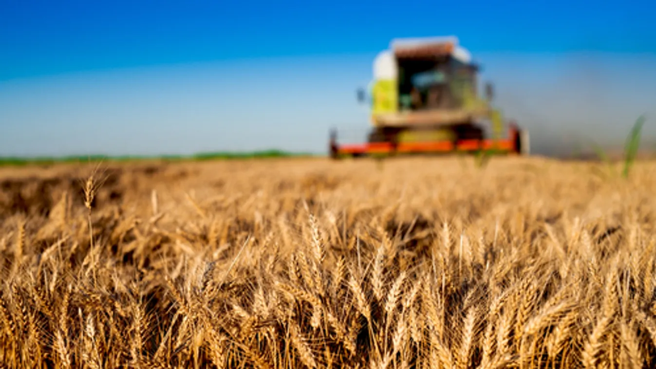 Jövedelemstabilizációs alap létrehozását tervezi az agrártárca a termelők számára