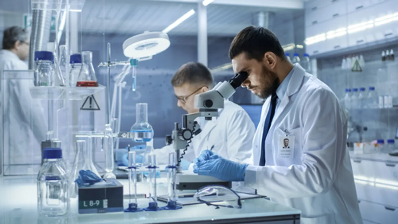 Koronavírus-kérdőív segítheti a járvány terjedésének modellezését