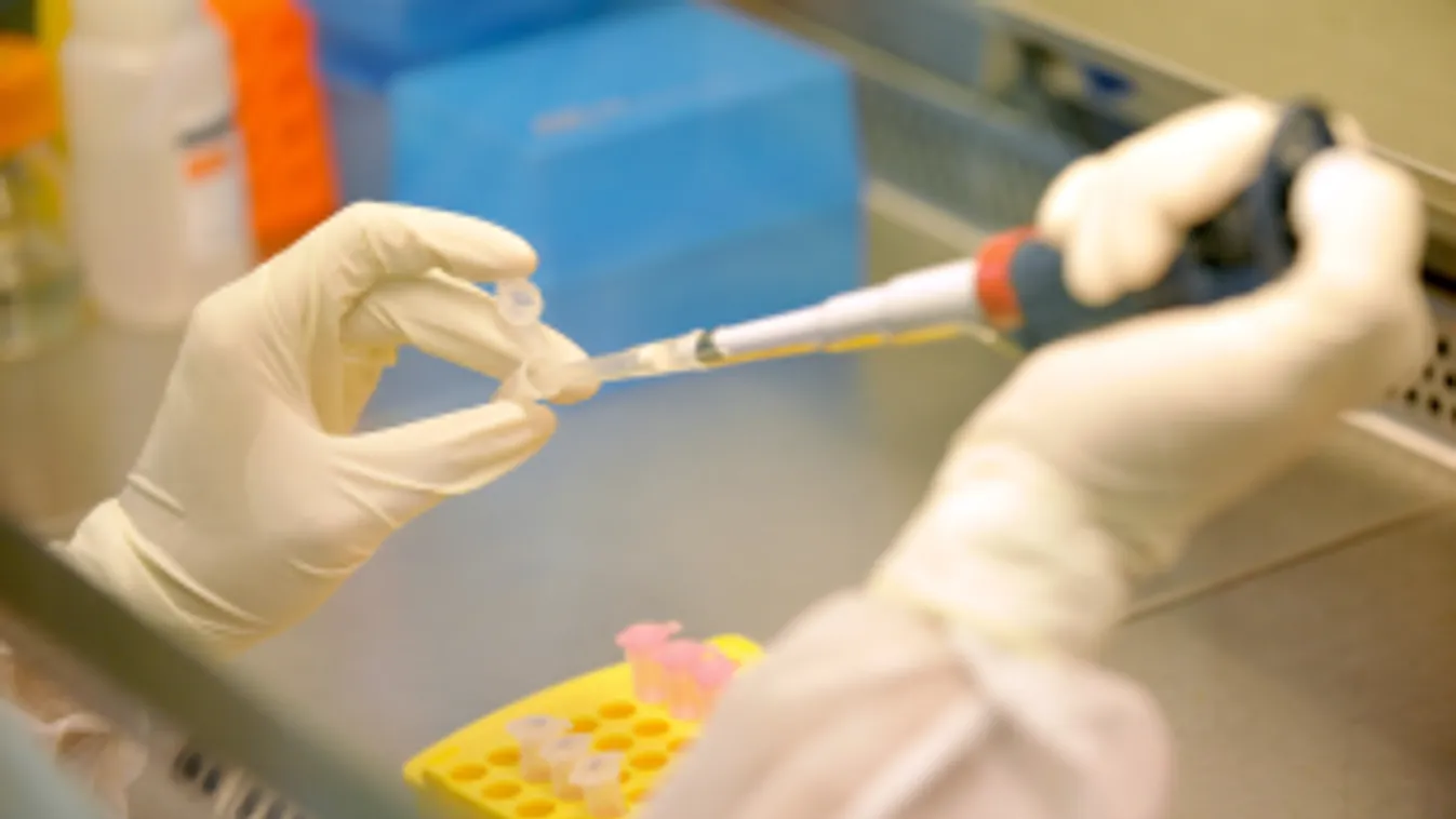 Koronavírus: Minden mintát az NNK központi laboratóriumában vizsgálnak