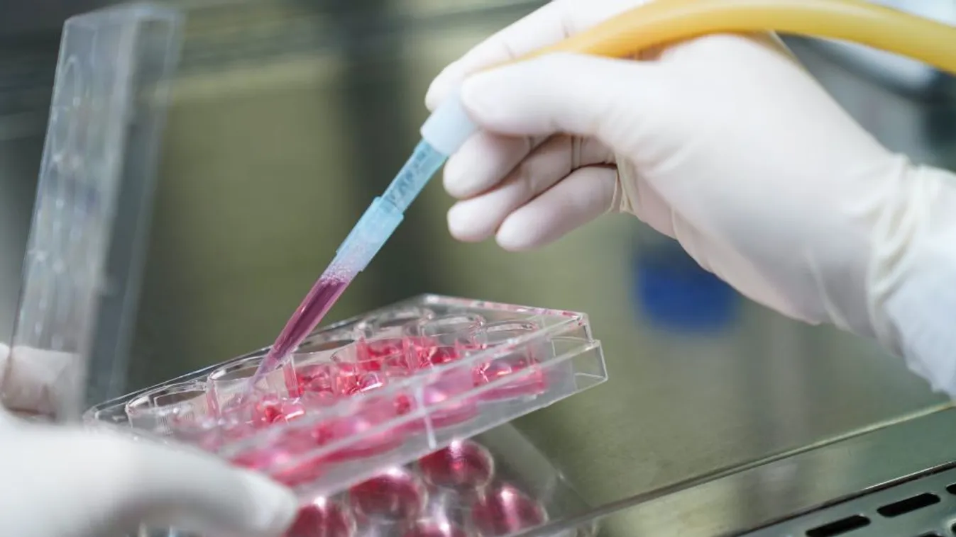 Már nyolc mutációja van az új koronavírusnak amerikai kutatók szerint