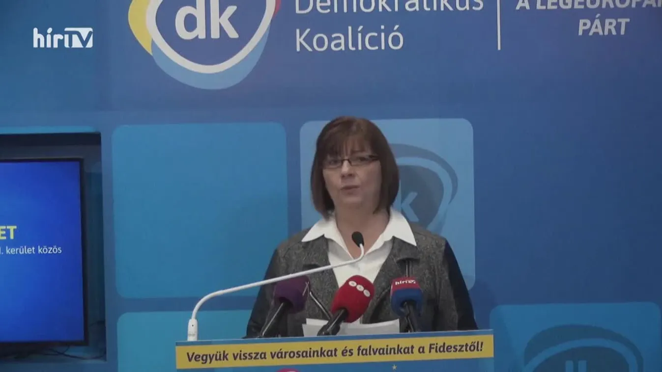 Főhős: Kishalunk Gy. Németh Erzsébet, akit a baloldal botként tud használni