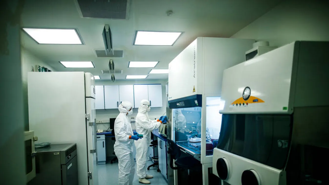 Magyarország az élen: Egy protokoll segítségével előre jelezhetők a járványok