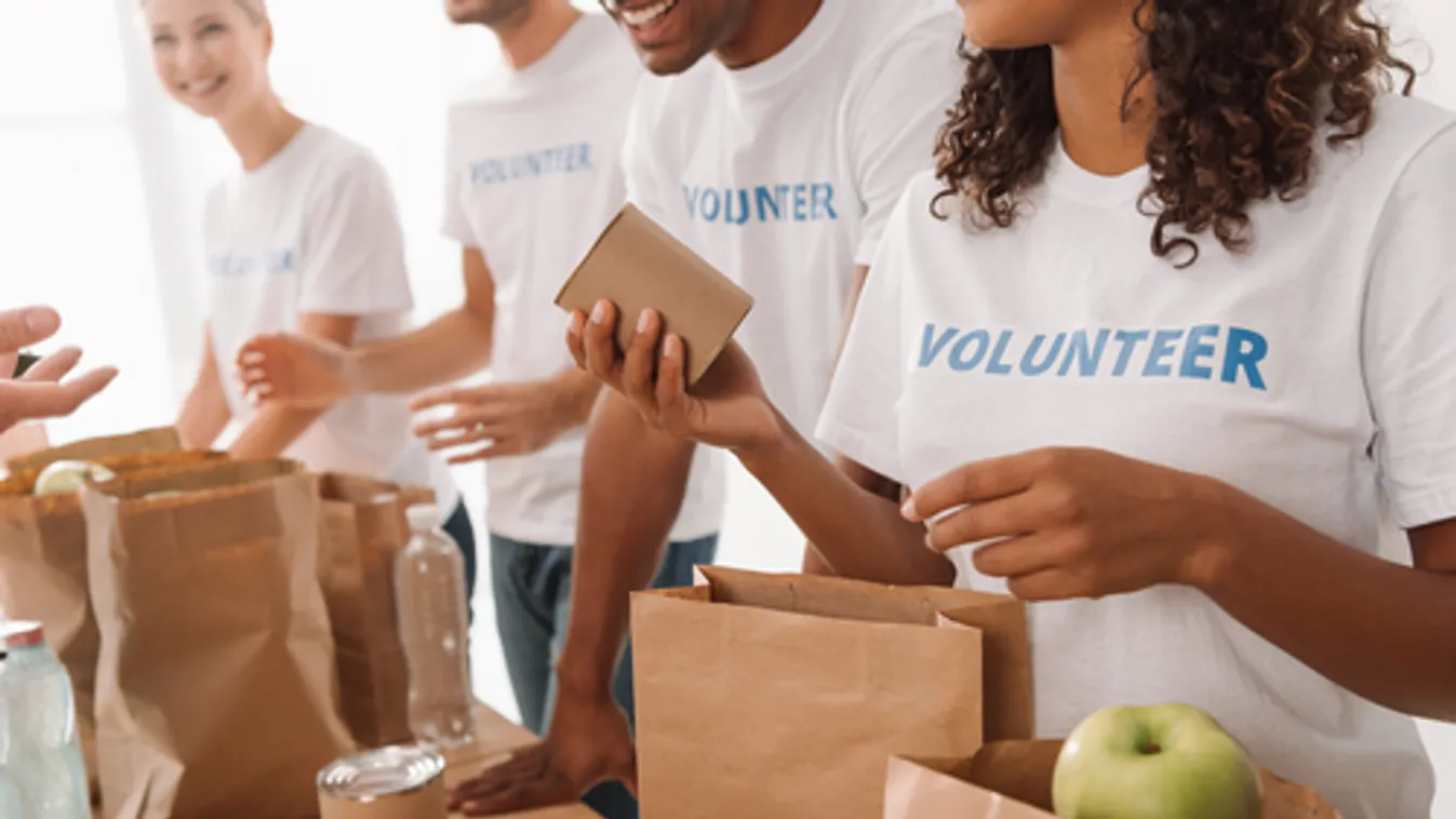 Önkéntesek is segítik az önkormányzatok idősellátó tevékenységét