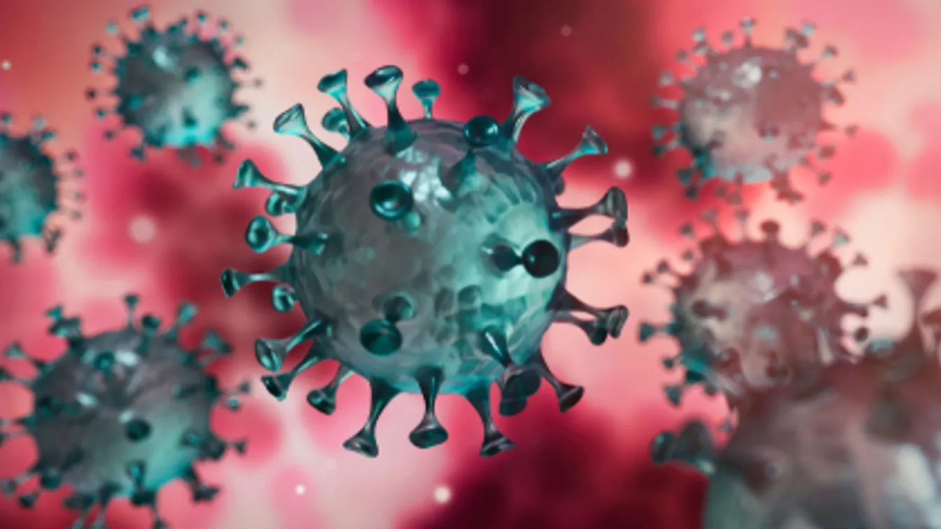 Franciaországban ismét orvosok haltak meg