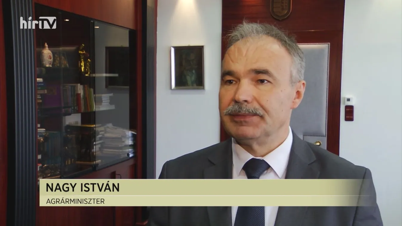 Soroló: Tervek a vírus utáni időkre