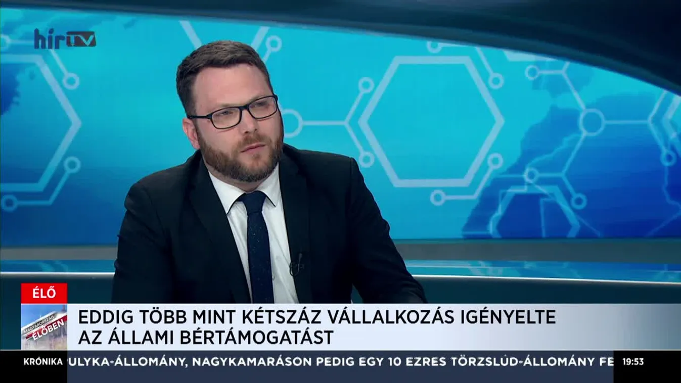 Schanda Tamás: Már több száz cég nyújtott be igénylést munkahelyvédelmi bértámogatásra