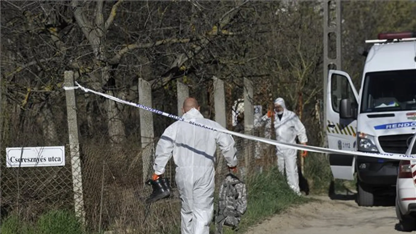 Megölte édesanyját egy mogyoródi nő