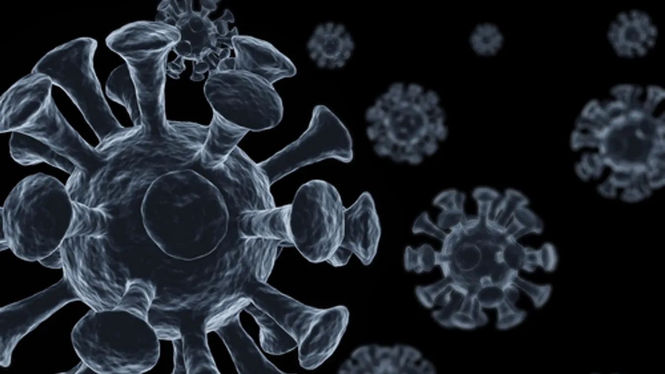 Egyre inkább a járvány utáni időszakra készül a Nyugat-Balkán