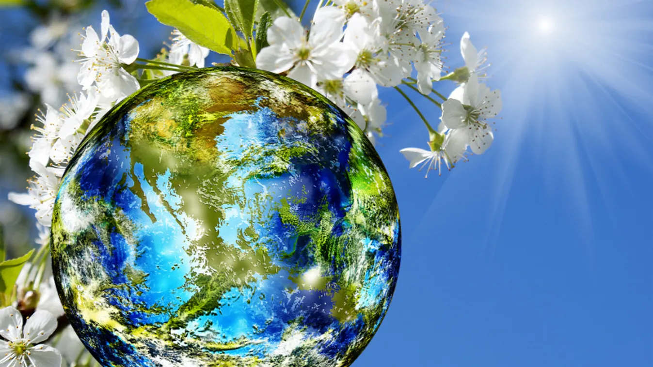 Az egészséges környezethez való jogot kérik világszerte természetvédelmi szervezetek