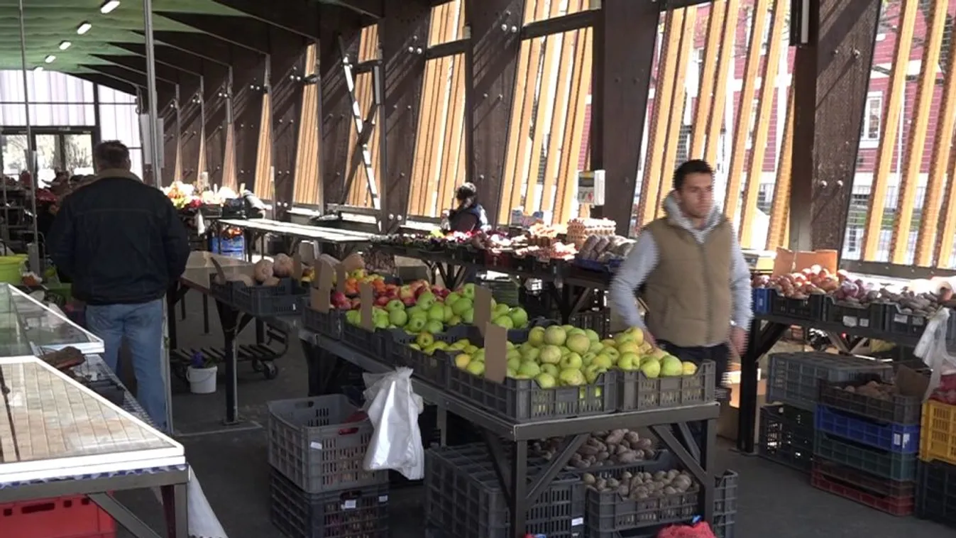 Ellentmondásos intézkedéseket hoznak a pécsi balliberálisok