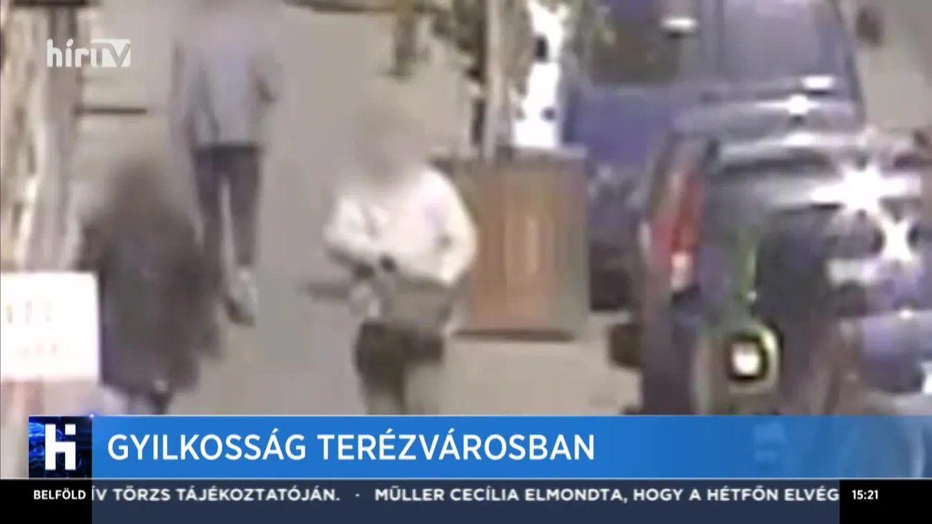 Gyilkosság Terézvárosban