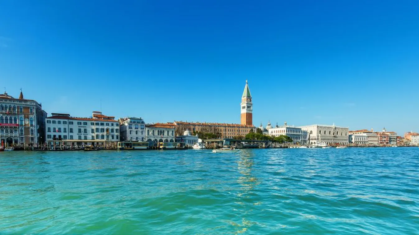 Feltárult a Velencei-lagúna gazdag élővilága a járványügyi korlátozások nyomán