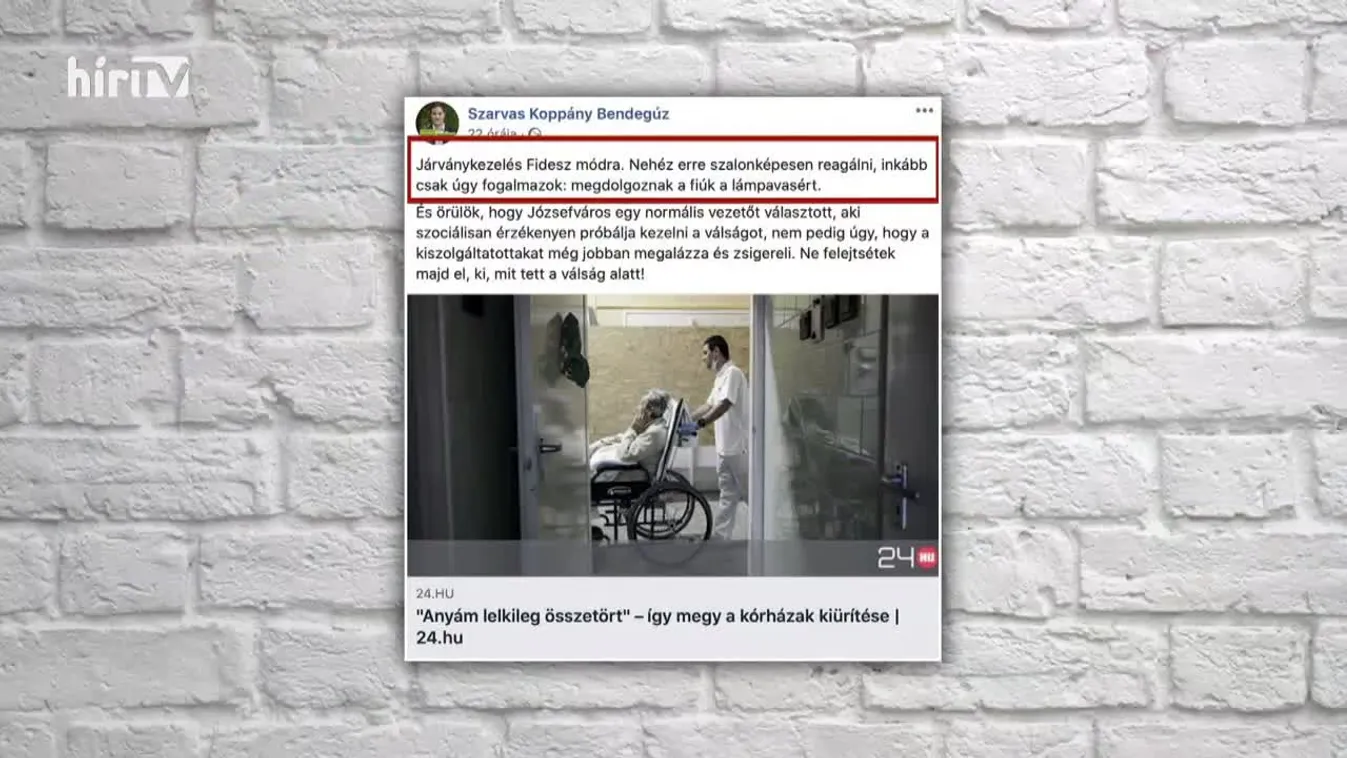 Keménymag (2020-04-21)