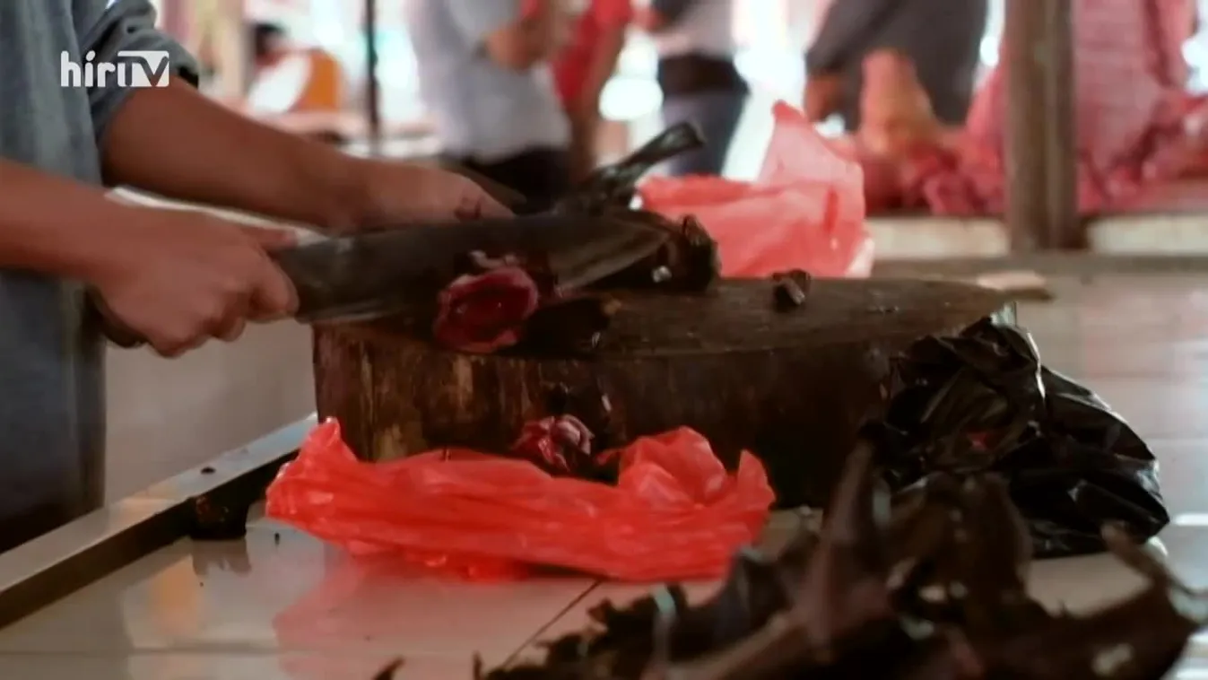 Globál extra - Kína (2020-04-07)