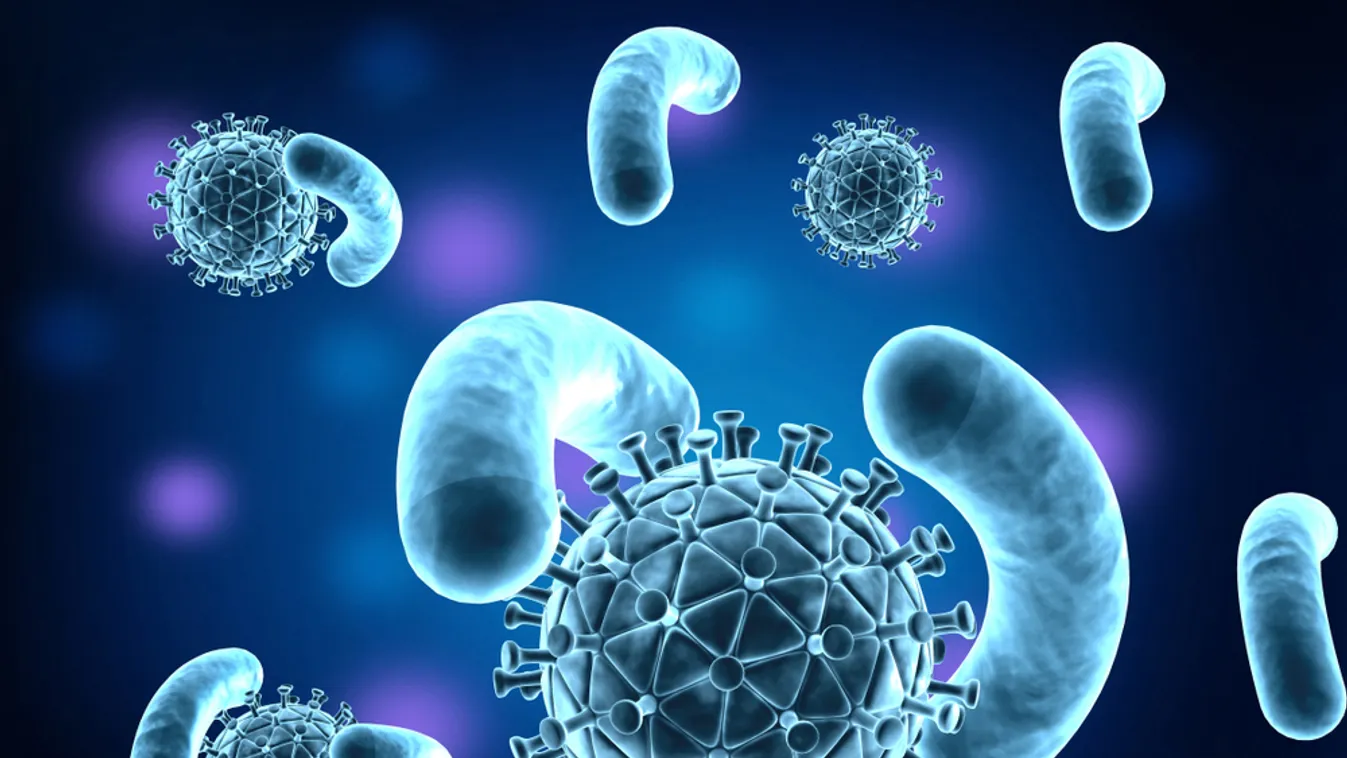 Nébih: Két Csongrád megyei állatartó telepen is megjelent a madárinfluenza