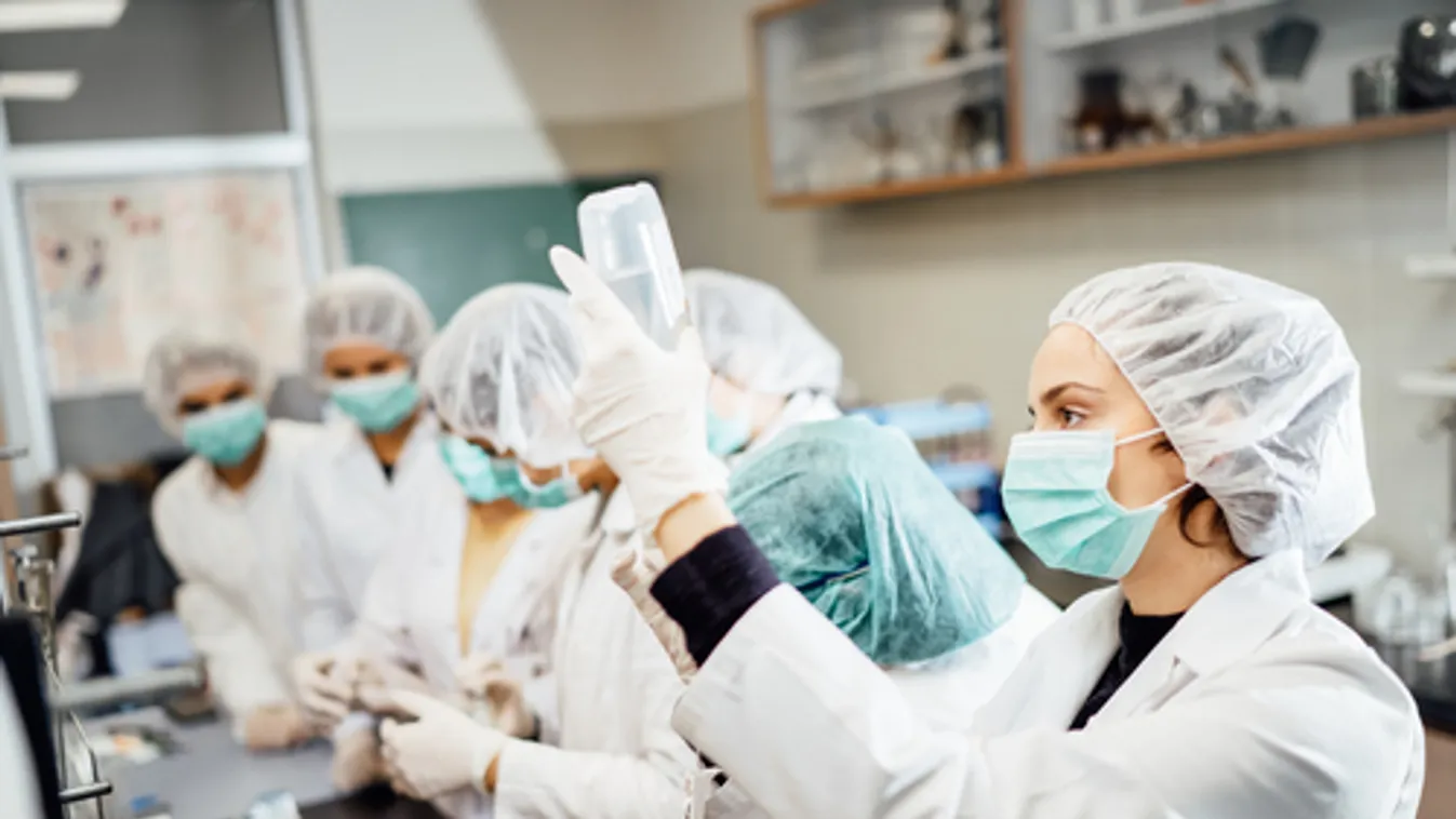 Harminckét vírusminta teljes genetikai analízisét végezték el pécsi kutatók