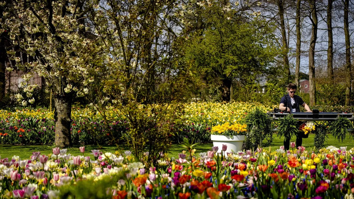 Hat fővárosi park megújításáról lehet véleményt nyilvánítani online