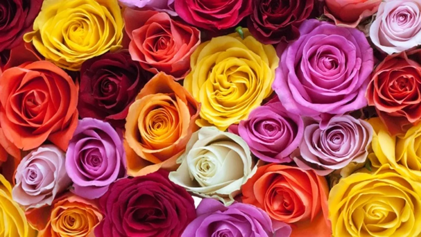 Anyák napi rendelet: Mától korlátozás nélkül nyitva tarthatnak a virágboltok